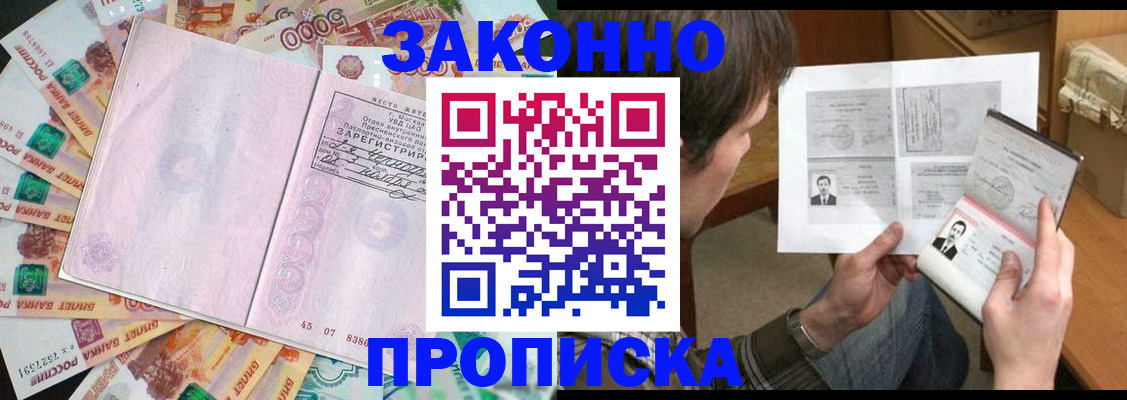 прописка для школы в Ленинградской области